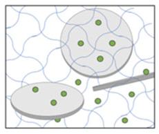 drug release of docetaxel from barium hydrogels